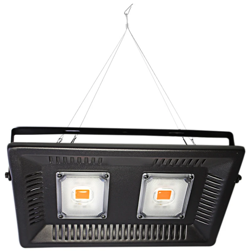 

Waterproof Led Full Spectrum Grow Floodlight 100W Ultra Thin 220V Led Growing Lamp For Outdoor Vegetable Plant Eu Plug