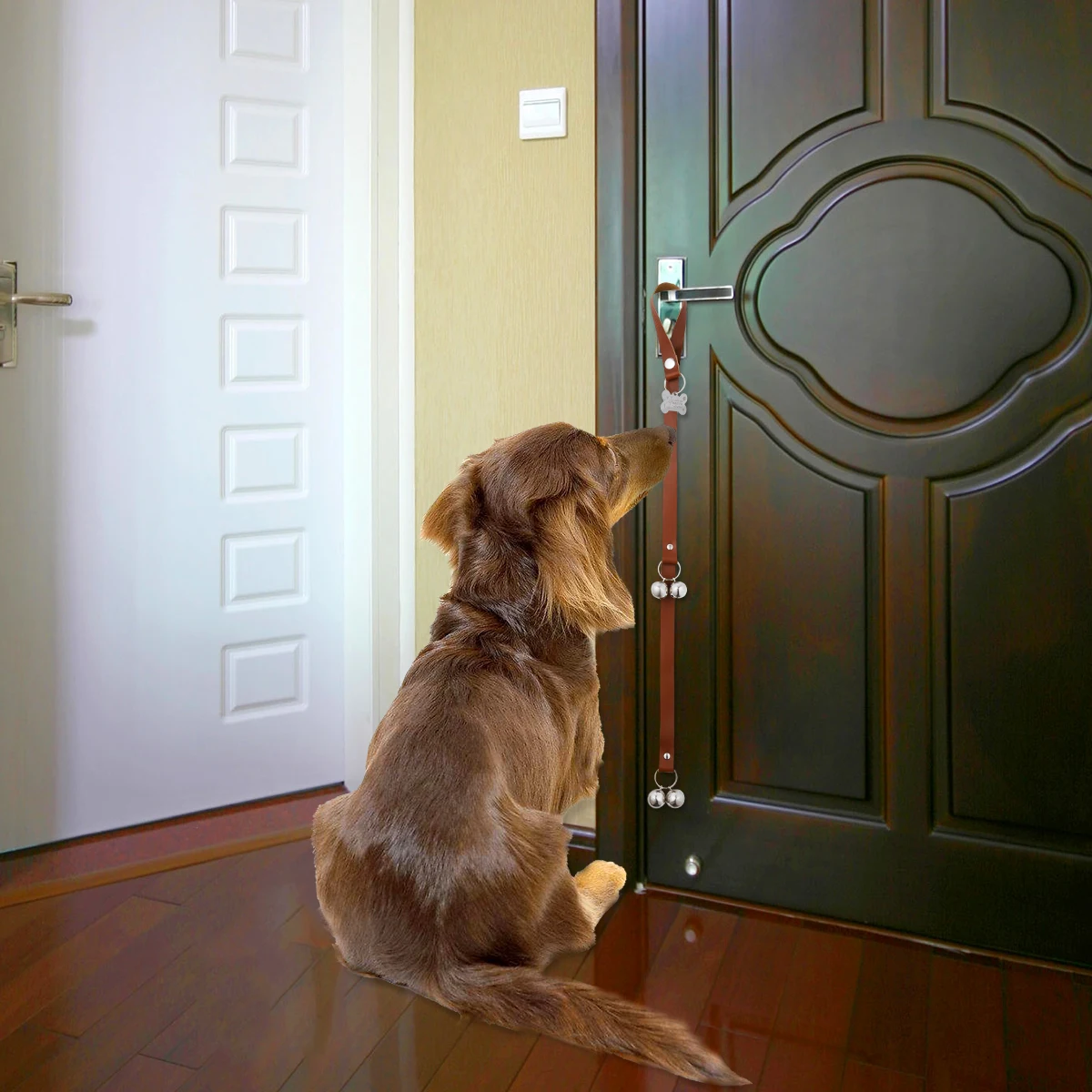 potty training puppy with bell on door