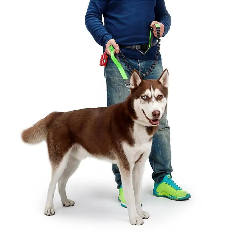 

Nylon Dog Leash Pet Training Walking Safety Dog Leads Adjustable Rope Running Harness Collar Dog Leash Dog Supplies Pet Supplies
