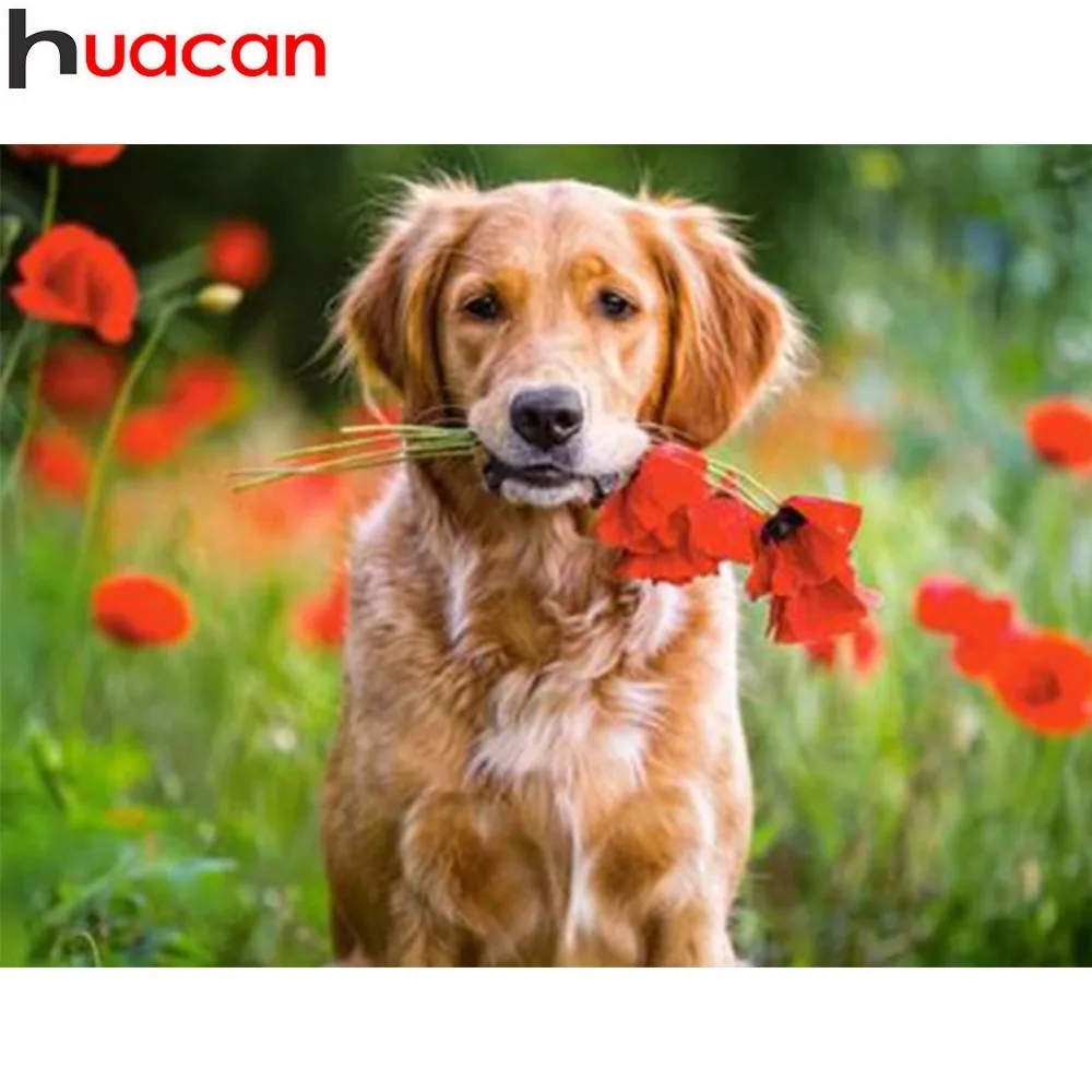 

HUACAN Diamond Painting 5D DIY Full Square Animal Rhinestone Diamond Embroidery Dog Cross Stitch Mosaic Dog Home Decor Gift