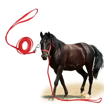 

Wholesale 3M Nylon Horse Reins Adjustable Riding Equipment Halter Horse Bridle With Bit Fixed Horse Equestrian Accessories 20E