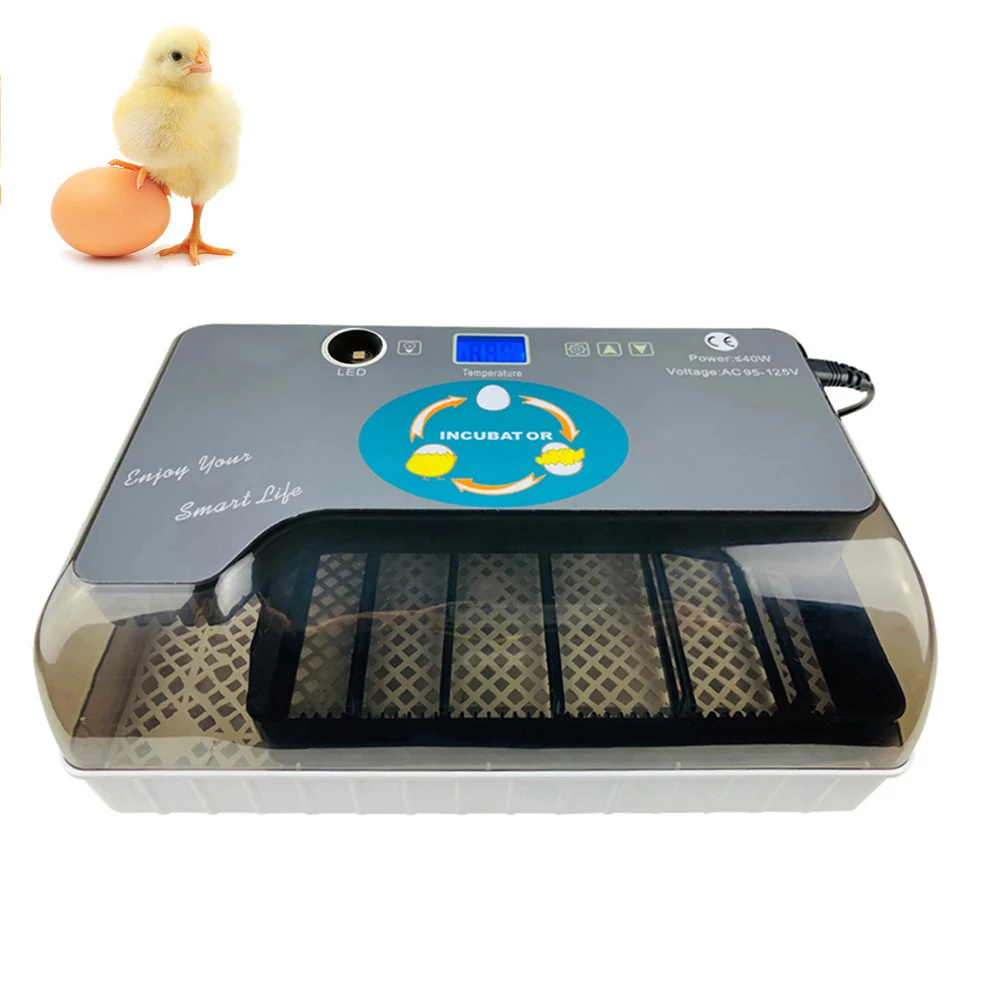 

Digital EU Plug Egg Incubator Automatic Eggs Hatcher with Eggtester Automatic Egg Turning 12 Eggs Poultry Hatcher Machine US AU