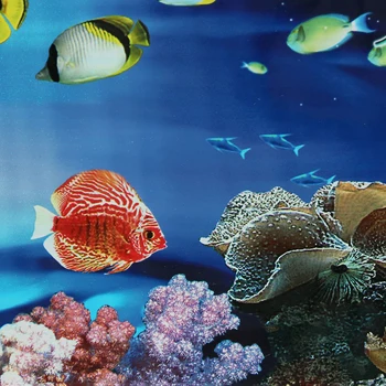 

Live Aquarium Background Ocean Sea Fish Tank Landscape Poster Glossy Double Sided Decorative Wall Picture Backdrop Image Decor