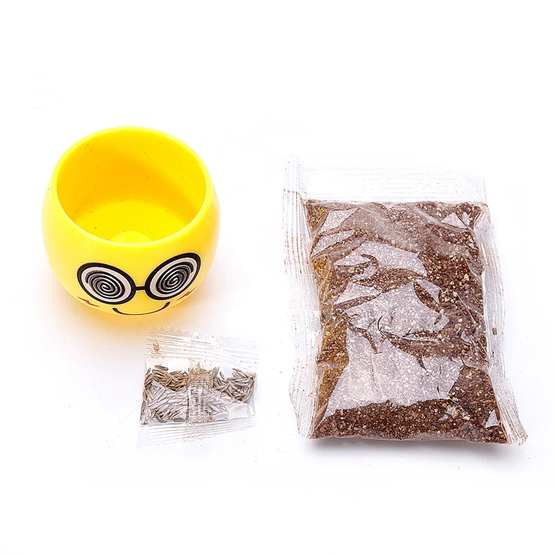 Expression Home OP Pot Desk Decor Emoji Bonsai Mini Hair Grass Plant