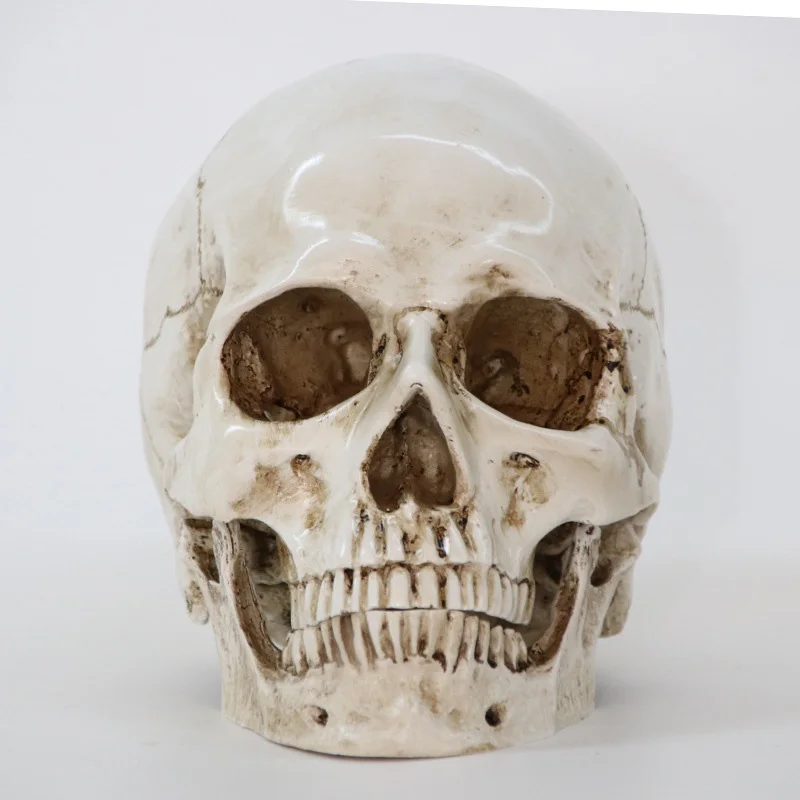 Статуи скульптуры смолы домашние украшения для Хэллоуина декоративное ремесло череп размер 1:1 модель жизни Реплика медицинская высокое качество