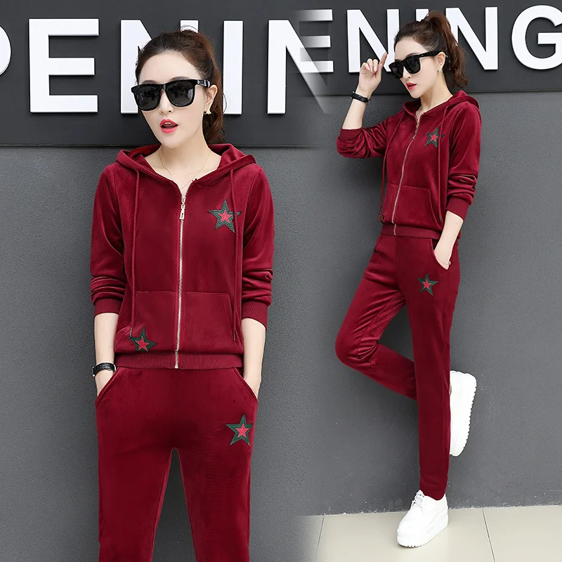 2019 Leisure Velvet Tracksuits 2 Piece Set Women Hooded Velour