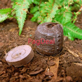 

20pcs Nursery Soil Blocks Jiffy Peat Pellets Garden Seedling Transplanting Planting Matrix Block Seed Starting Plugs Nursery