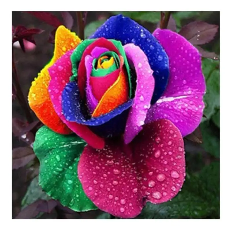 

5D DIY Full Drill Diamond Painting Novelty Flower Cross Stitch Embroidery Rhinestones Mosaic Kits 30 X 30cm Home Wall Decor