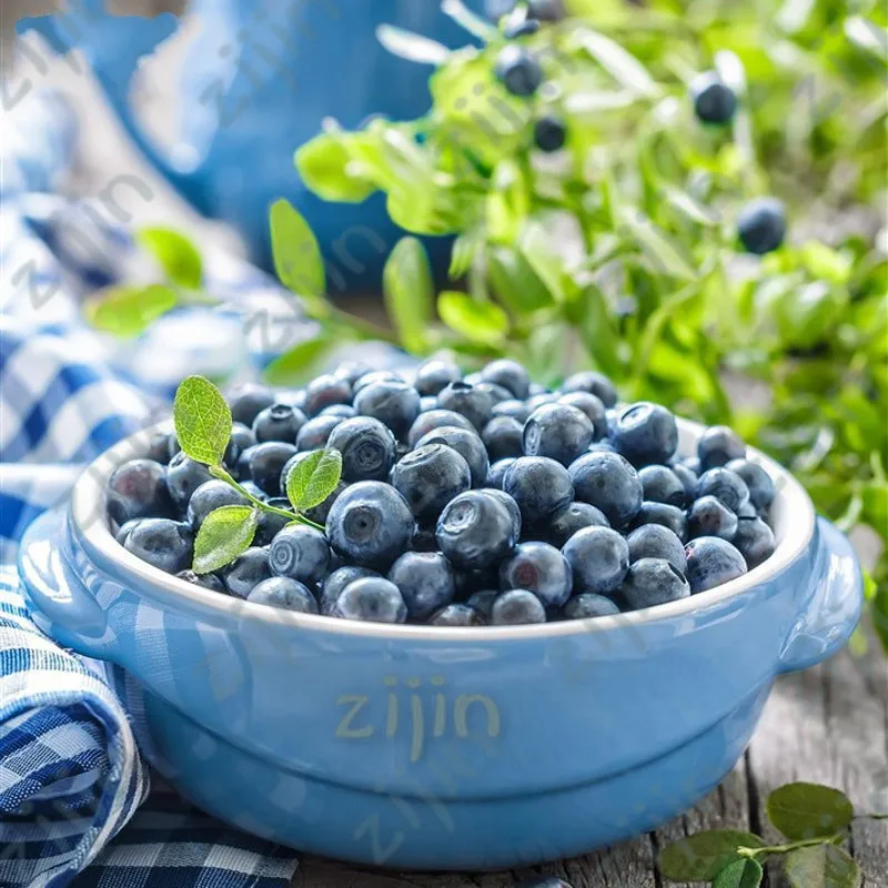 

Promotion!100 Pcs/Pack Blueberry Tree plant Fruit Blueberry flores Potted Bonsai plants Tree garden