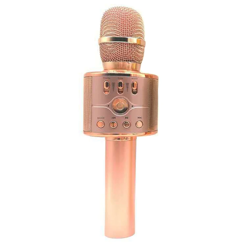 

Fashion New WS-868 Professional Portable Wireless Karaoke Handheld Microphone Speaker USB Music Player Family KTV