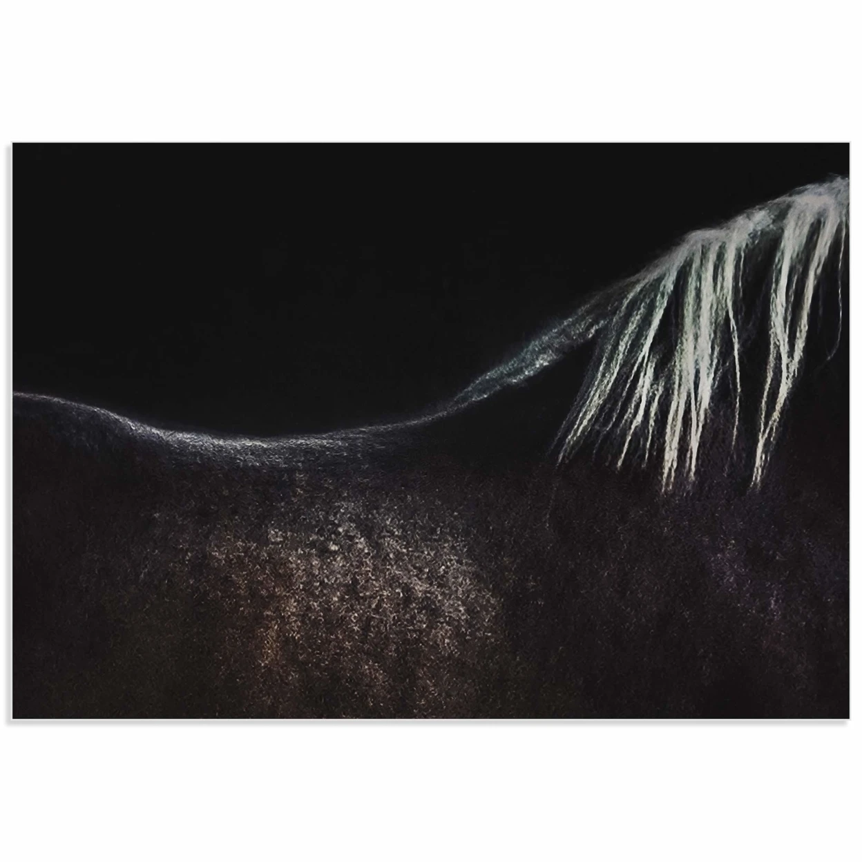 Naked Horse by Piet Flour - Wall Art on Acrylic | Дом и сад