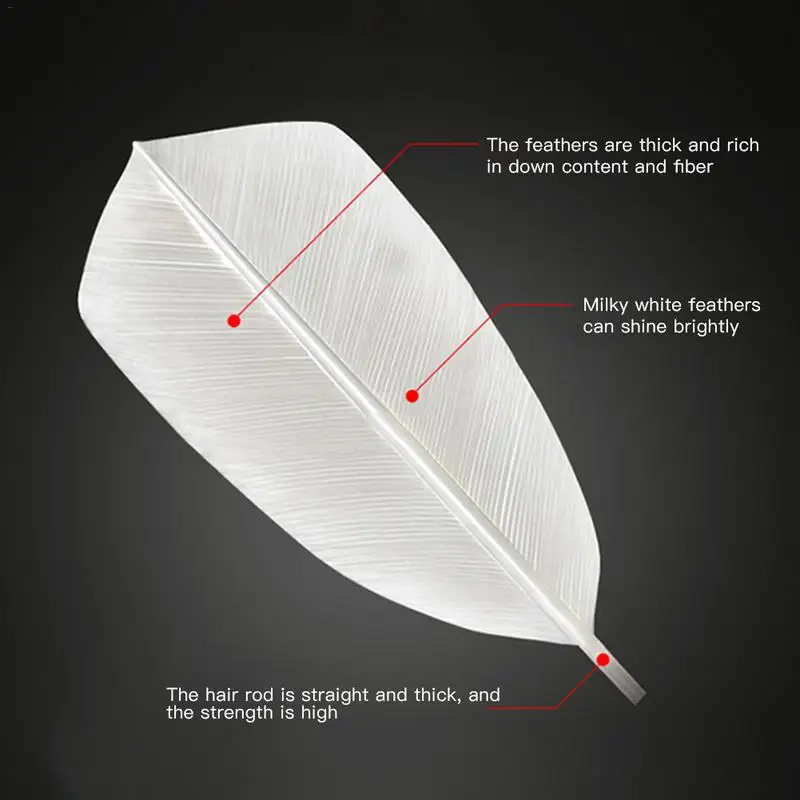 3 حزمة سوبر دائم الريشة الريشة ريشة الإوزة الفلين الخشب رئيس 3 حزمة سوبر دائم الريشة الريشة ريشة الإوزة الفلين الخشب رئيس