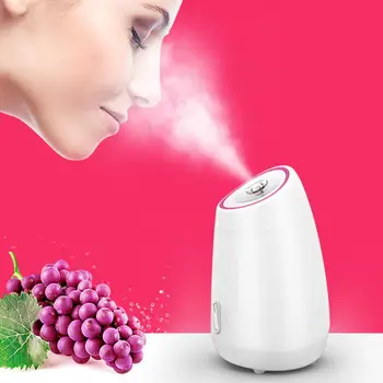 

Fruit vegetable Facial Face Steamer household Spa beauty instrument Thermal nano spray water whitening face steamer machine