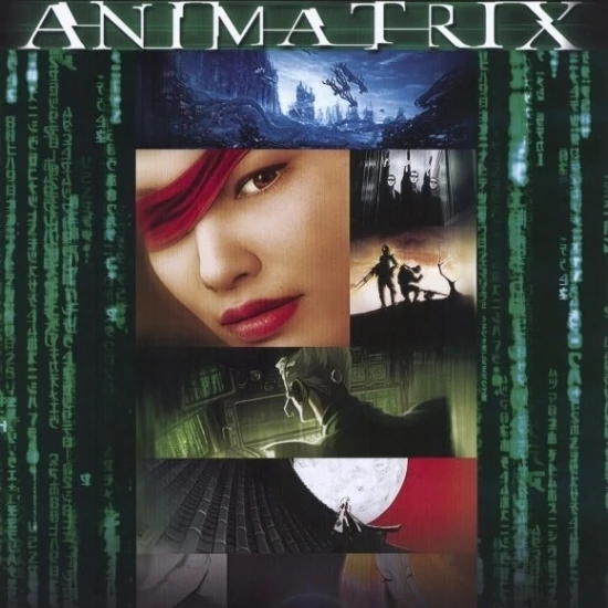Animatrix Movie Poster (11 x 17) | Дом и сад