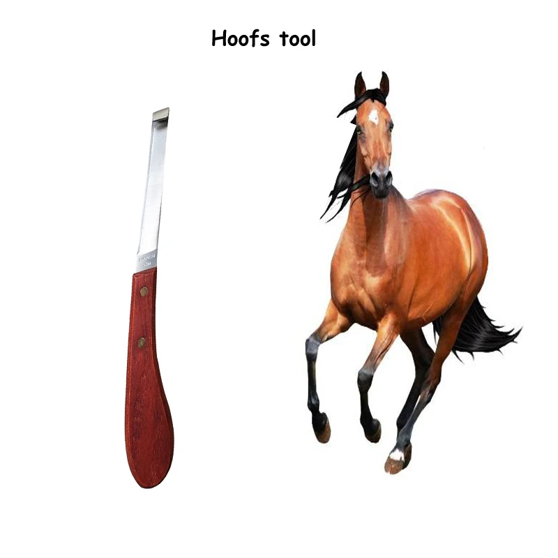 

22CM Hoof Loop Knives Horse Equestrian Supplies Repair Hoof Knife Equipment Tool Various Sizes Farrier Para Caballo Dla Konia