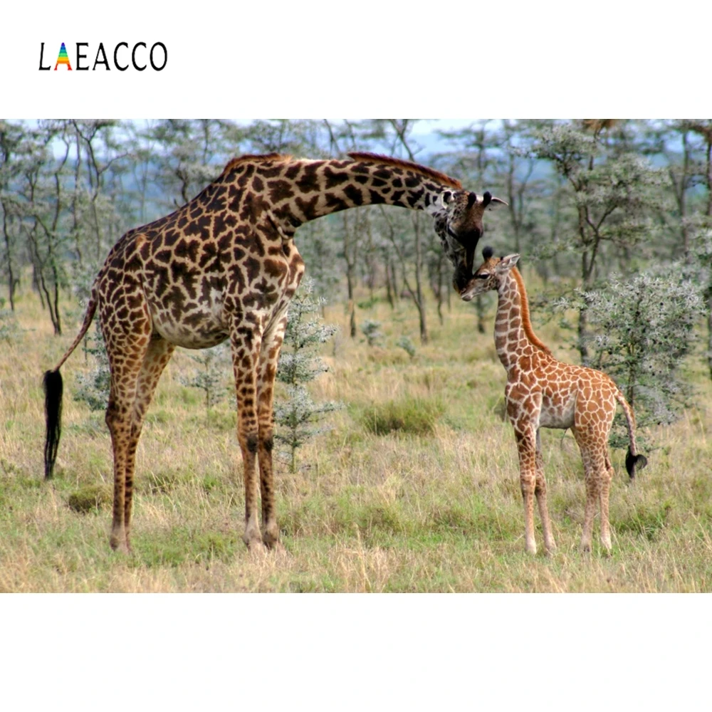 

Laeacco Giraffe Nature Tree Cloud Backdrop Vinyl Photography Backgrounds Customized Photographic Backdrops For Photo Studio