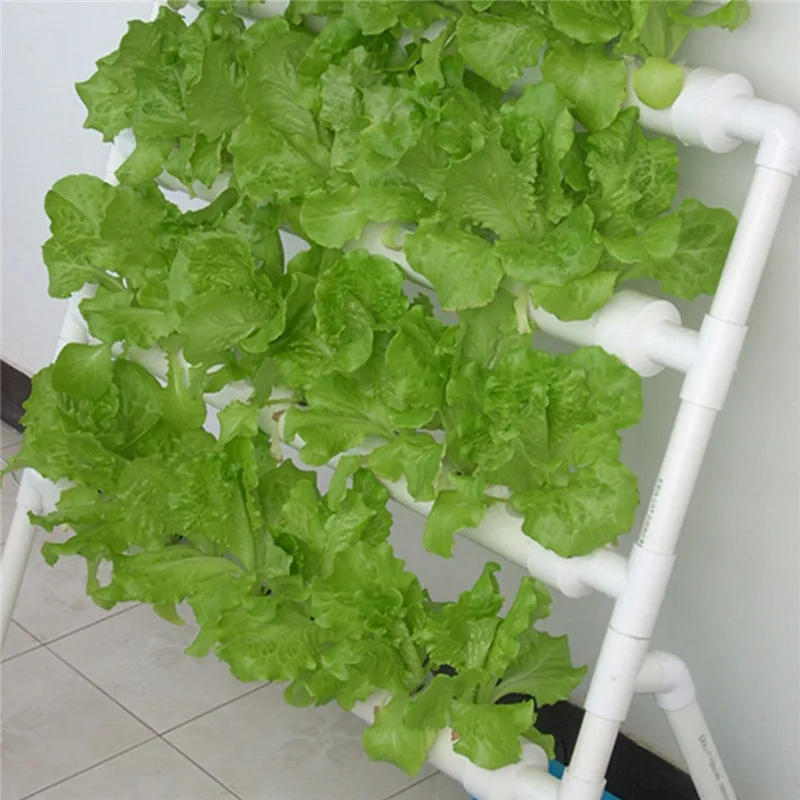 Indoor Hydroponic System Garden Grow Kit Plant Nursery Pot Vegetable Water Planting Soilless Seedling Outdoor Plant Flower Stand Indoor Hydroponic System Garden Grow Kit Plant Nursery Pot Vegetable Water Planting Soilless Seedling Outdoor Plant Flower Stand