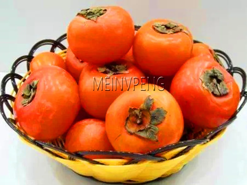

Big Promotion!5 Pcs Japanese Persimmon Fruit Tree bonsai Non-GMO Fruit plant High Quality Home Garden Plant Diospyros Kaki