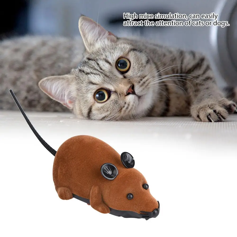 remote mouse cat toy