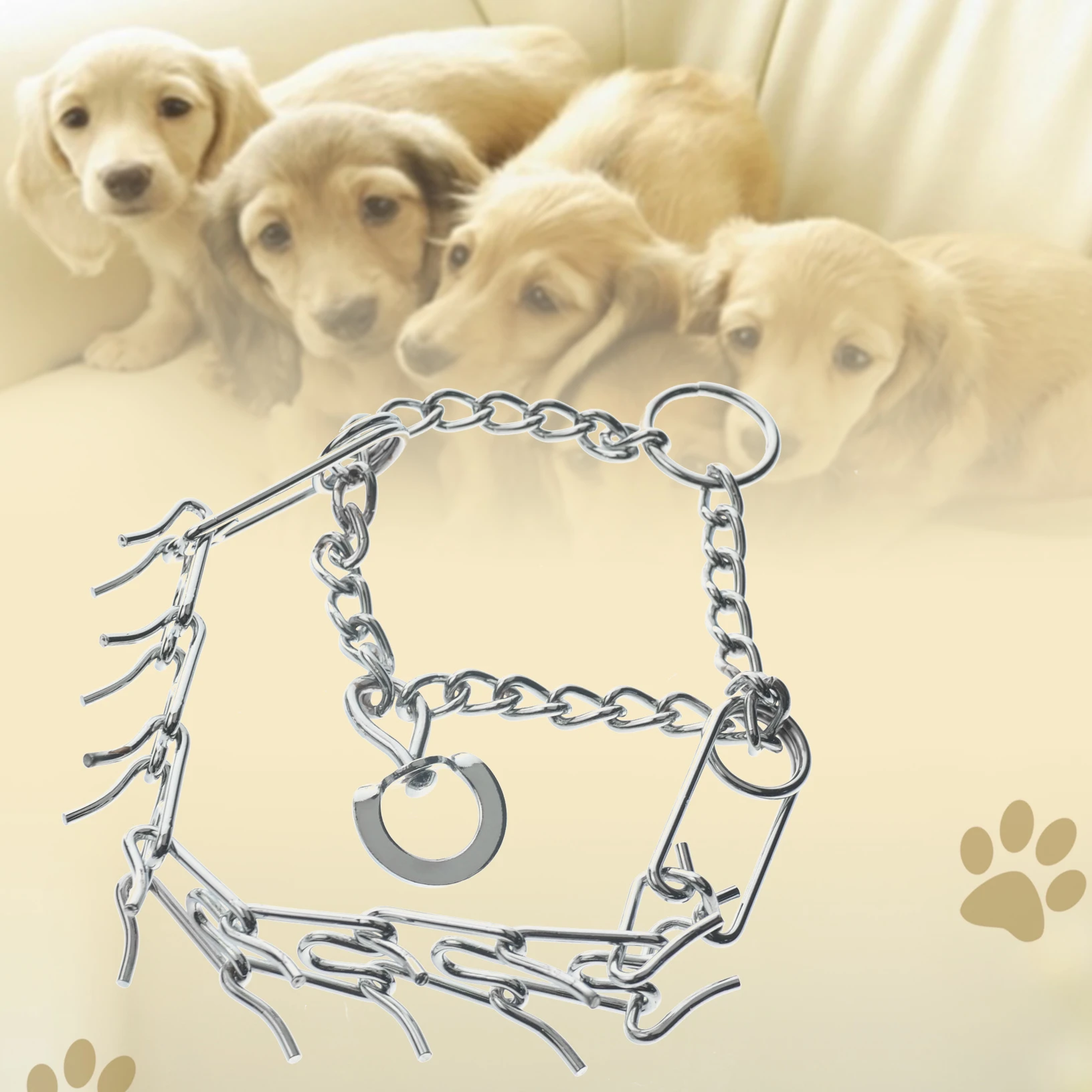 spiked collar for dog training