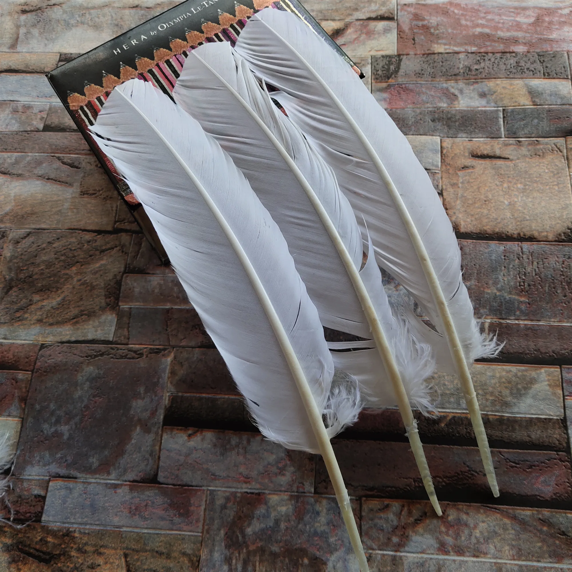 Wholesale! 10pcs/lot beautiful natural 10 12inches/25 30cm White Turkey