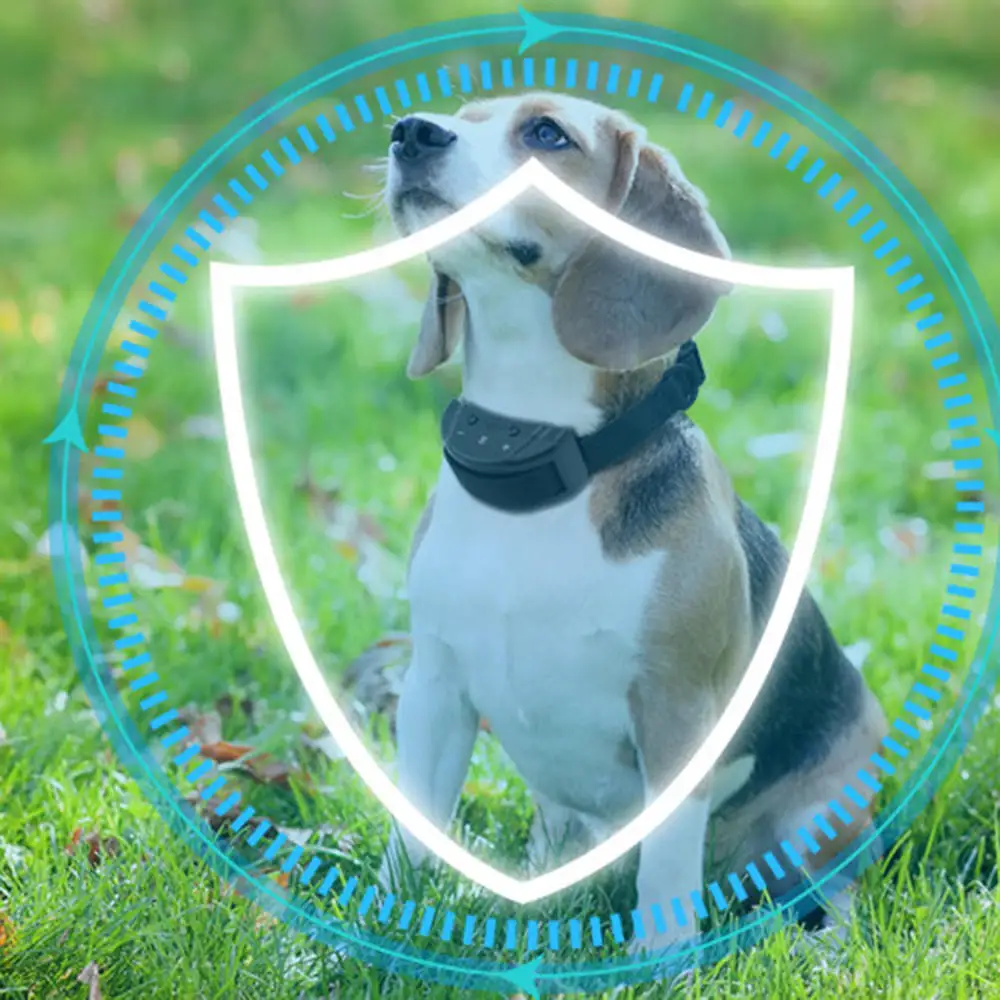 Warning Sound Electric Shock Electronic Training Dog Pet Stop Device Dog Supplies Dog Trainings