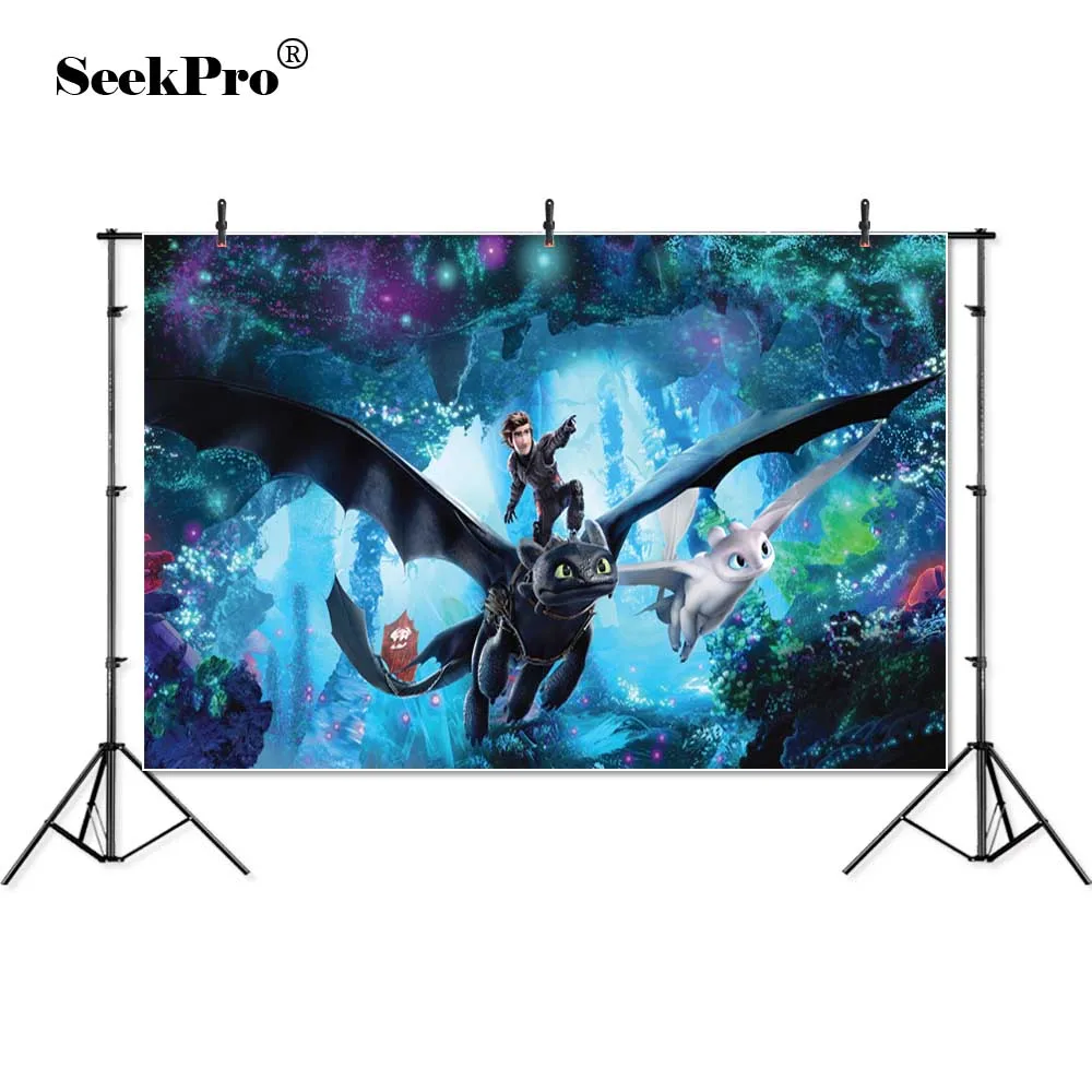 

Vinyl Hiccup Dragon Rider Cute Toothless Photo Backgrounds Birthday Banner Photographic Backgrounds Personalized Banner
