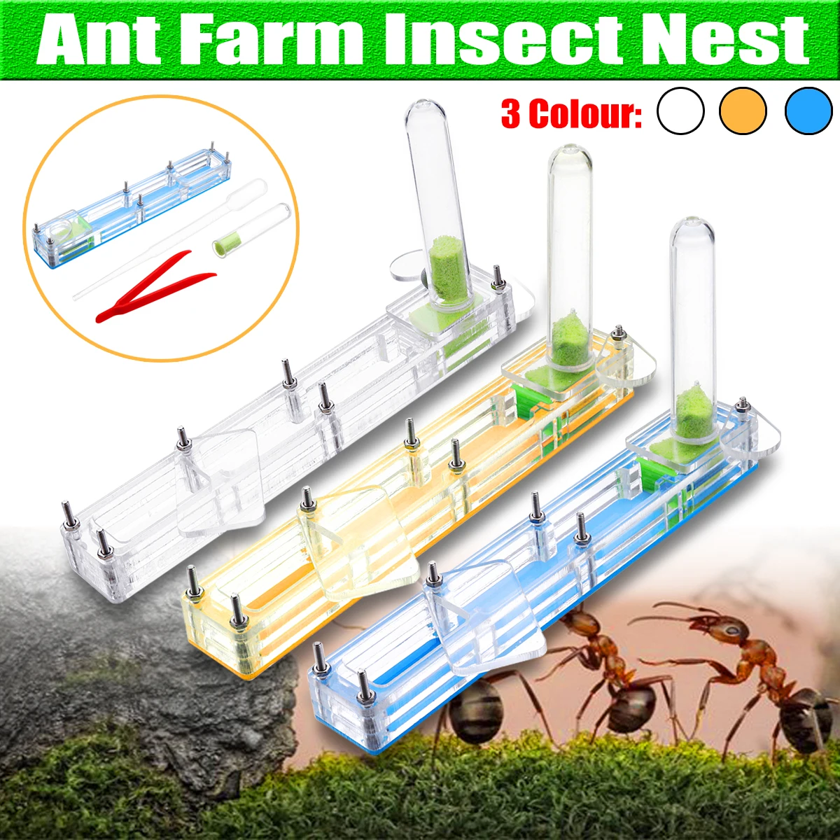 

Ant Farm Acrylic Breeding Display Box Farm Insect Nest Maze 3D Nursery Novelty Habitat Feeding System Ornamental