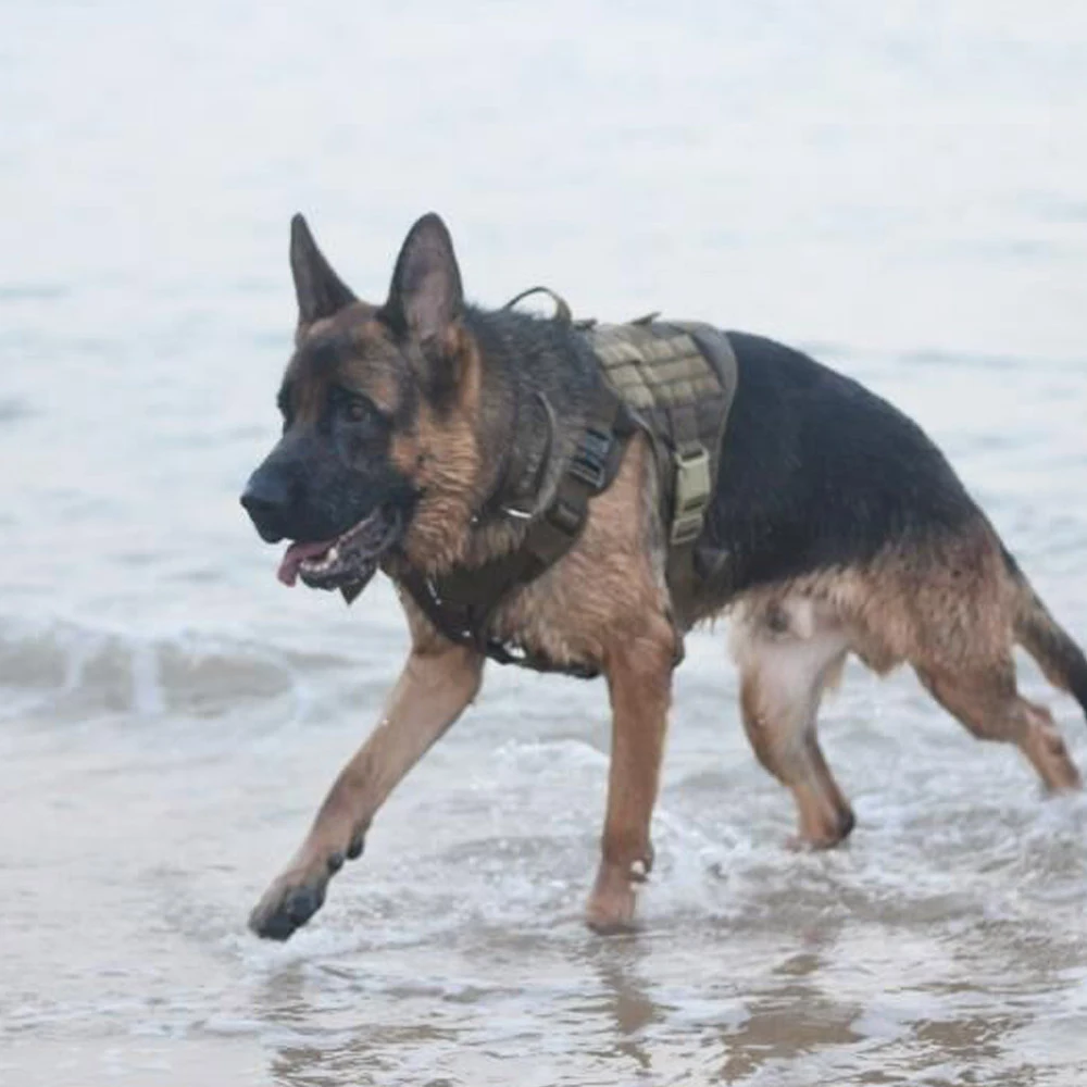 Военный тактический жилет для собак, модульный жилет для собак, армейский охотничий жилет для собак с мешками, сумка для переноски бутылок с водой