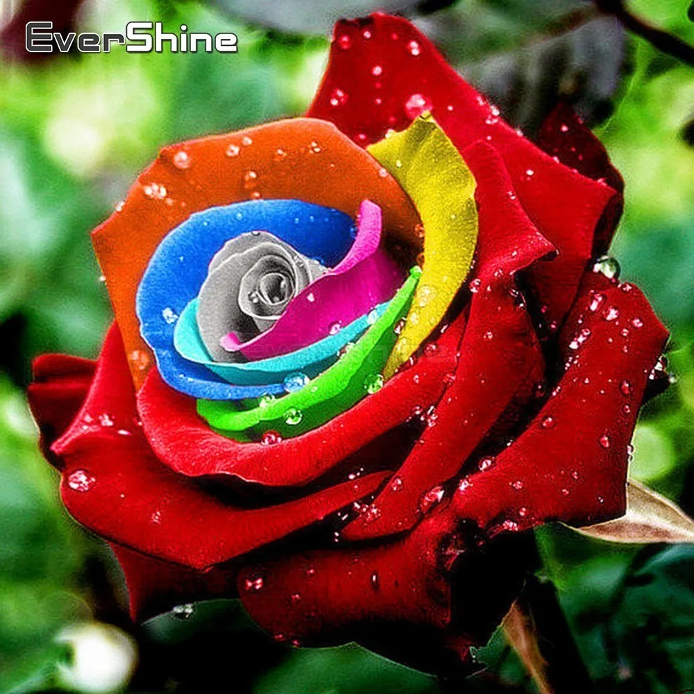 EverShine Diamond Painting Flowers Embroidery Full Display Rose Picture Of Rhinestones Mosaic Wall Decor Hobby | Дом и сад