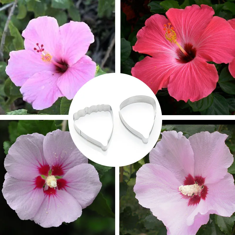 

Stainless Steel Flos Hibisci L Flower Petal Cutting Mould Soft Polymer Clay Tools Maket Model Cutter Seramik Malzemeleri