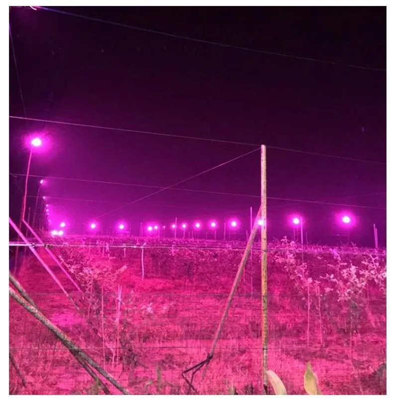 100 Вт LED Cob лампа для выращивания растений Водонепроницаемая полный спектр роста