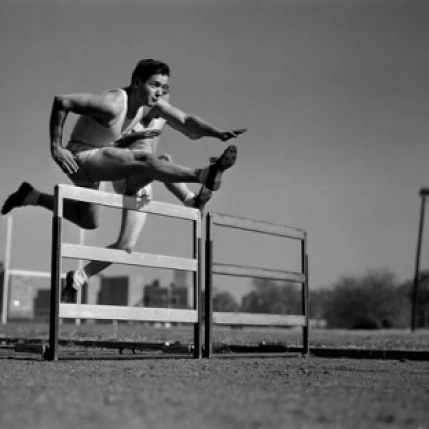 Steeplechase Poster Print (18 x 24) | Дом и сад