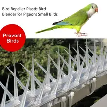 3Pcs 4m Plastic Bird And Pigeon Spikes Anti Bird Anti Pigeon Spike For Get Rid Of Pigeons And Scare Birds Pest Control phenotypic characterization of jalali pigeon