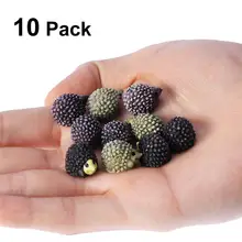 OULII 10 шт реалистичные нетоксичные смолы пейзаж микро Дисплей украшения миниатюрный Ежик для маленького сада миниатюрный дом