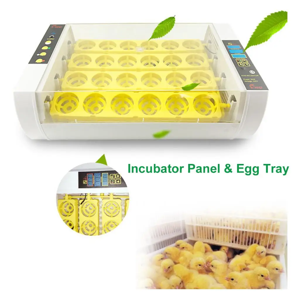 24 Eggs Birds Hatcher Chicken Egg Automatic Incubator Hatcher Hot Sale Automatic Egg Incubator Hatching Machine for Duck Parrot