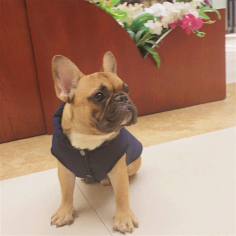 Vests for Pug dog clothes bouledogue francais Puppy Pug French Bulldog Clothing Poodle Schnauzer Pet Costume Winter Dog wearVest Vests for Pug dog clothes bouledogue francais Puppy Pug French Bulldog Clothing Poodle Schnauzer Pet Costume Winter Dog wearVest