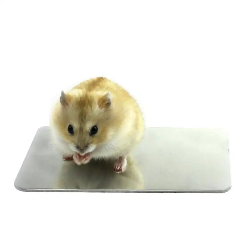 

Rabbit Hamster Dedicated Cooling Plate Heat Sink Large Size Aluminum Alloy Heat Dissipation Plate For Small Pet