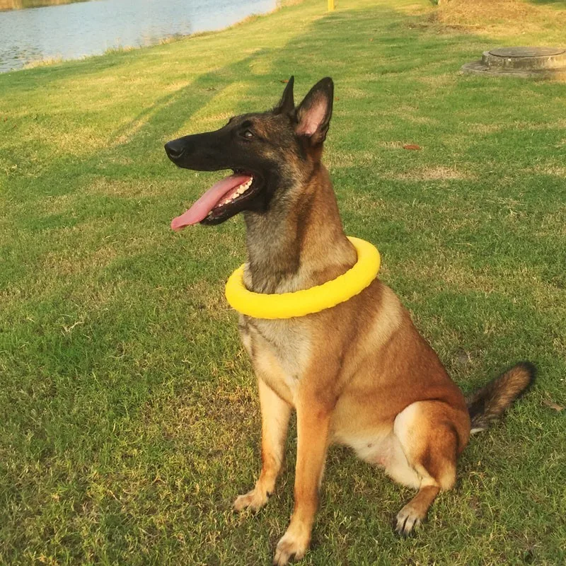 الحيوانات الأليفة تحلق أقراص إيفا الحيوانات الأليفة حلقة سحب مقاومة دغة لعبة عائمة جرو لعبة تدريب بيتبول الفرنسية الكلب التفاعلية لعب