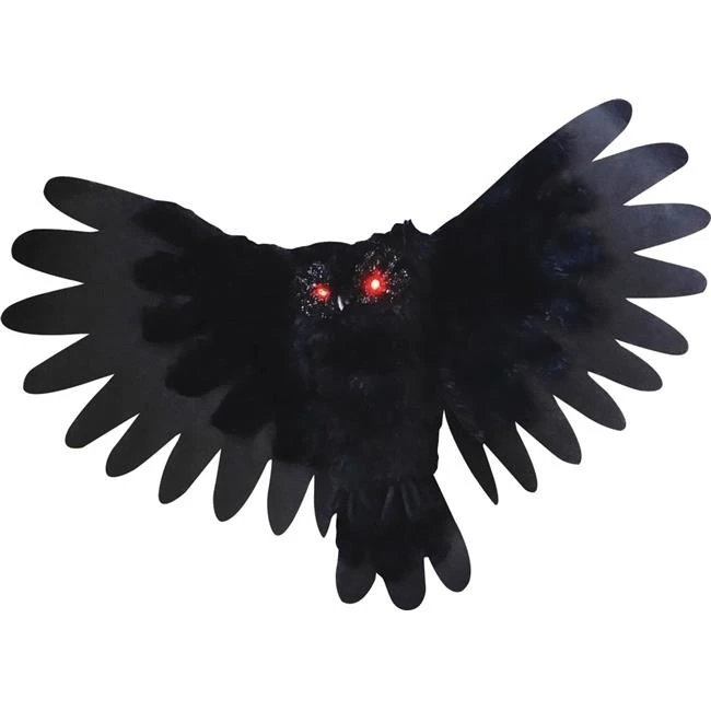 101 Gambar Animasi Burung 101 Gambar Animasi Burung