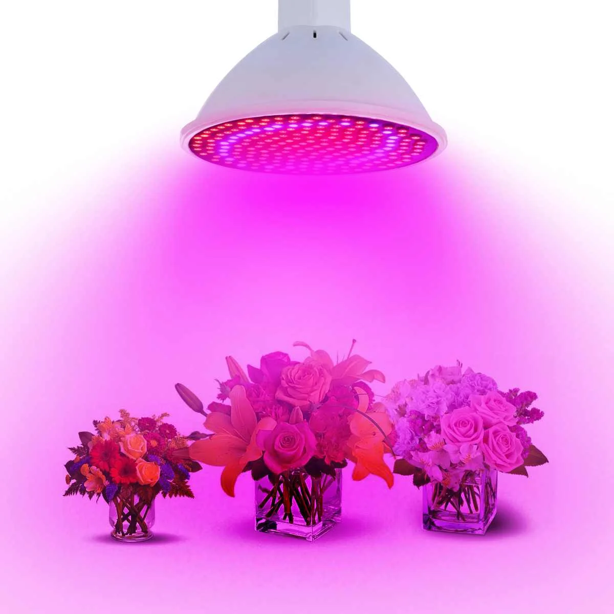 Полный спектр 20 Вт E27 166 R ed 34 синий светодиодный Grow Light завод лампа сада тепличных
