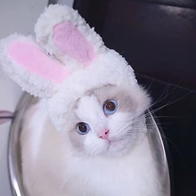 Милая домашняя кошка шапка забавная шапка с заячьими ушками шапка котенок Декор вечерние аксессуары к костюму для Косплей верхняя одежда
