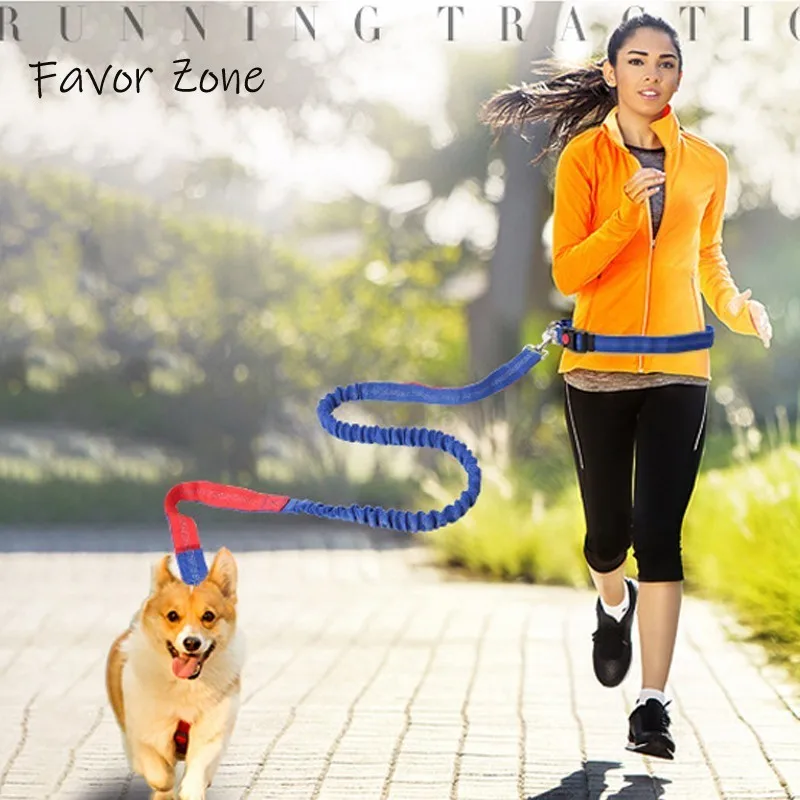 

Adjustable Running Training Dog Leash Elasticity Hand Freely Nylon Pet Dogs Leashes Rope For Harness All Breeds Pets Products