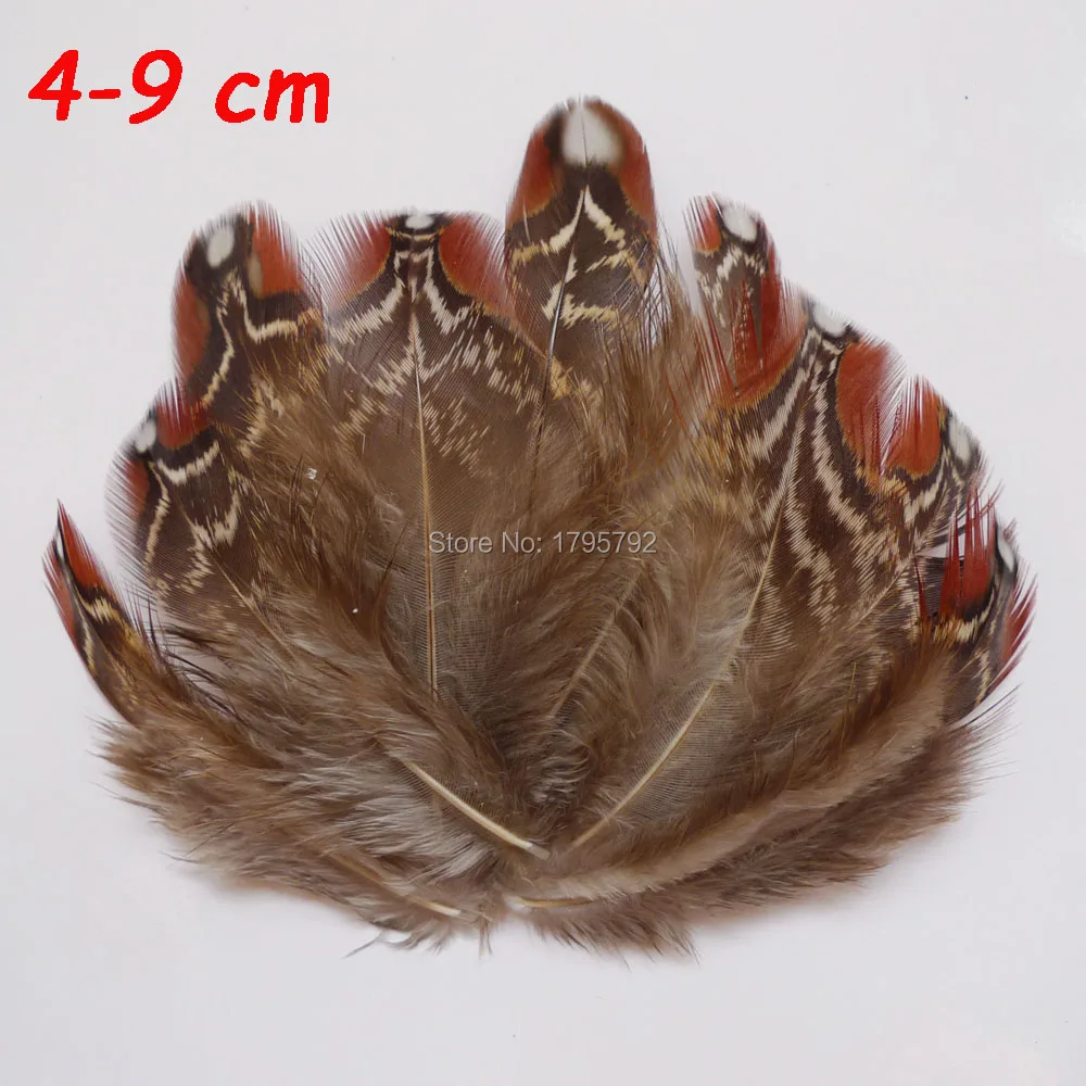 20Pcs 4-9cm Natural Pheasant Chicken Feathers For DIY Crafts Clothing Jewelry Headwear Christmas Holiday Hat Decoration Plumes | Дом и сад - Цена: 232,09 руб. / lot