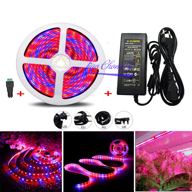 

5M 5050 300 LED Plant Grow Strip Light Full Spectrum Veg Red+Blue IP20 non-waterproof IP65 waterproof with 12V 5A LED power