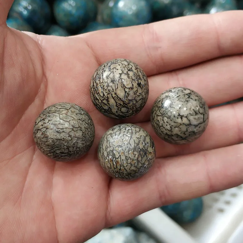 

Natural dinosaur bone fossil ball paleophysical bone fossil ball ornaments 2.2-2.3cm diy jewelry loose beads