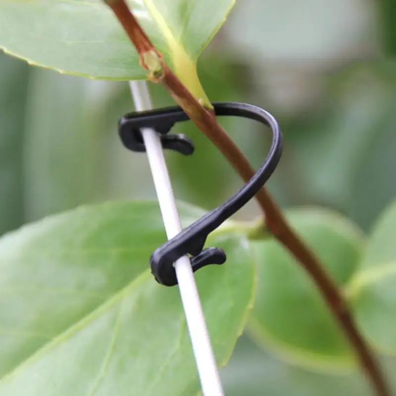 

50pcs Grape Support Vine Clips Garden Plants Vegetables Fixed Buckle Hook Vine clamp Bayonet firmly Save labor costs