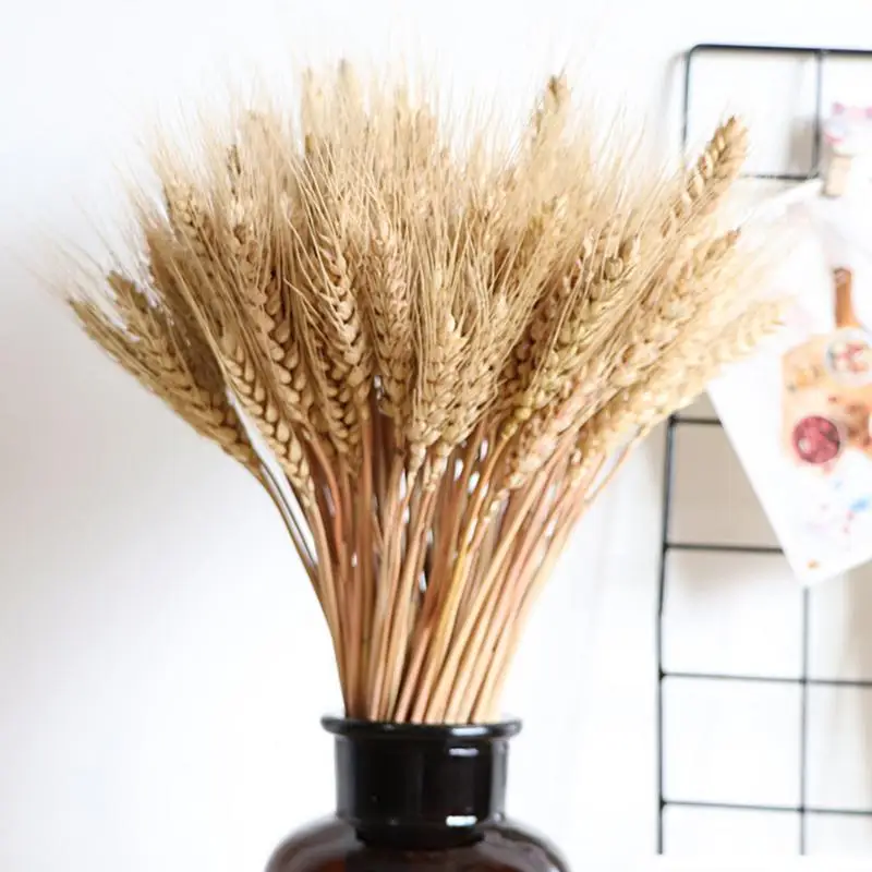

100pc Natural Dried Flower Bouquets Natural Raw Color Dried Ear Of Wheat Bouquets&wheat Ear Bunches For Wedding Decorations