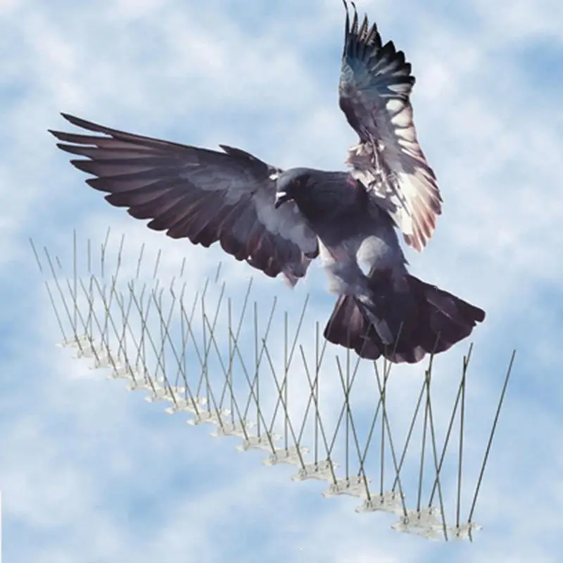 

Bird Repeller 6pcs 50cm Environmentally Stainless Steel Pigeon Nails Anti-Bird Spikes Pest Control Orchard Bird Catcher