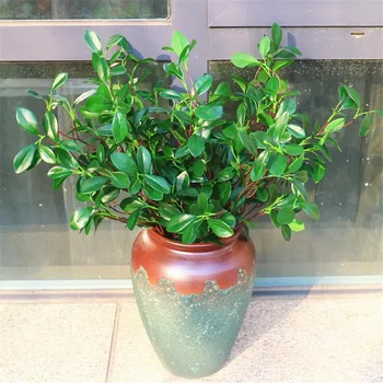

100pcs Artificial Milan Tree Braches Silk Green Murraya Stems Greenery Plant for Decorative Greenery Wall Background